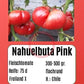 Nahuelbuta Pink DER TOMATENFLÜSTERER