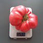 Nahuelbuta Pink DER TOMATENFLÜSTERER