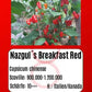 Nazgul´s Breakfast Red F7 DER TOMATENFLÜSTERER