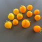 Nebolshoy Limon DER TOMATENFLÜSTERER