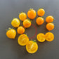 Nebolshoy Limon DER TOMATENFLÜSTERER