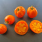 Nebraska Wedding DER TOMATENFLÜSTERER