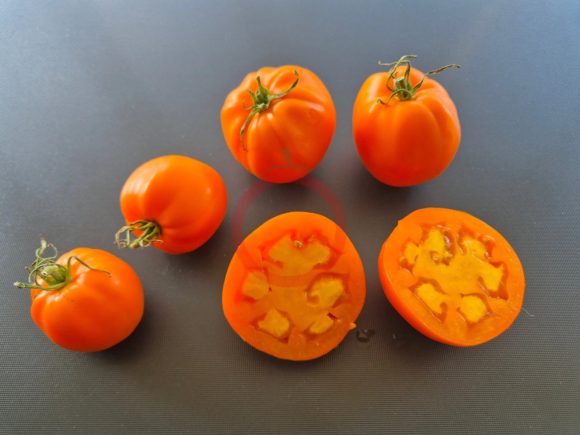 Nebraska Wedding DER TOMATENFLÜSTERER
