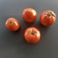 Nepal DER TOMATENFLÜSTERER