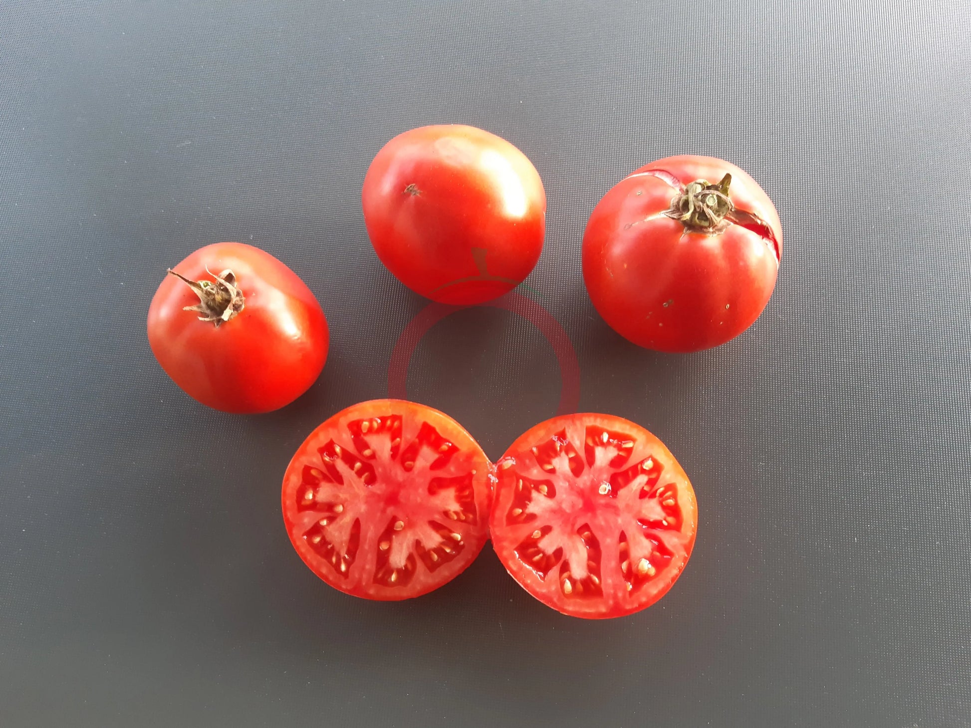 Nepal DER TOMATENFLÜSTERER