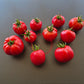 Nochtli DER TOMATENFLÜSTERER