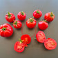 Nochtli DER TOMATENFLÜSTERER