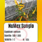 NuMex Sunglo DER TOMATENFLÜSTERER
