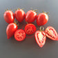 Nueva Vizcaya Nipple DER TOMATENFLÜSTERER