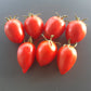 Nueva Vizcaya Nipple DER TOMATENFLÜSTERER