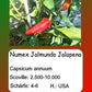 Numex Jalapeno Jalmundo DER TOMATENFLÜSTERER