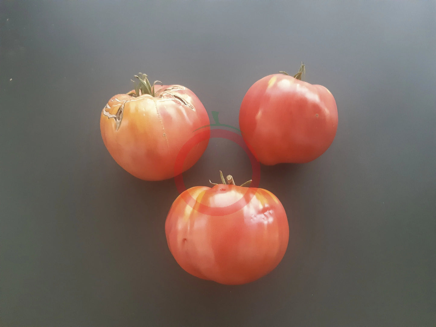 Ochsenherz Mazedonien DER TOMATENFLÜSTERER
