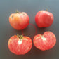Ochsenherz Mazedonien DER TOMATENFLÜSTERER