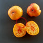 Old German DER TOMATENFLÜSTERER