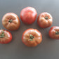 One Trick Pony DER TOMATENFLÜSTERER