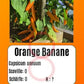 Orange Banane DER TOMATENFLÜSTERER