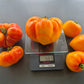 Orange Russian 117 DER TOMATENFLÜSTERER