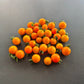 Orange Sukkerknald DER TOMATENFLÜSTERER