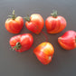 Oranzheviy Slon DER TOMATENFLÜSTERER