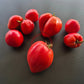 Oscar Gonthier DER TOMATENFLÜSTERER