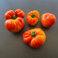 Pamplemousse du Grand Père DER TOMATENFLÜSTERER
