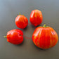 Pera Tijola Almeira DER TOMATENFLÜSTERER