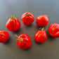 Pera d´Abruzza DER TOMATENFLÜSTERER