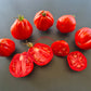 Pera d´Abruzza DER TOMATENFLÜSTERER