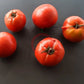 Peron Sprayless DER TOMATENFLÜSTERER