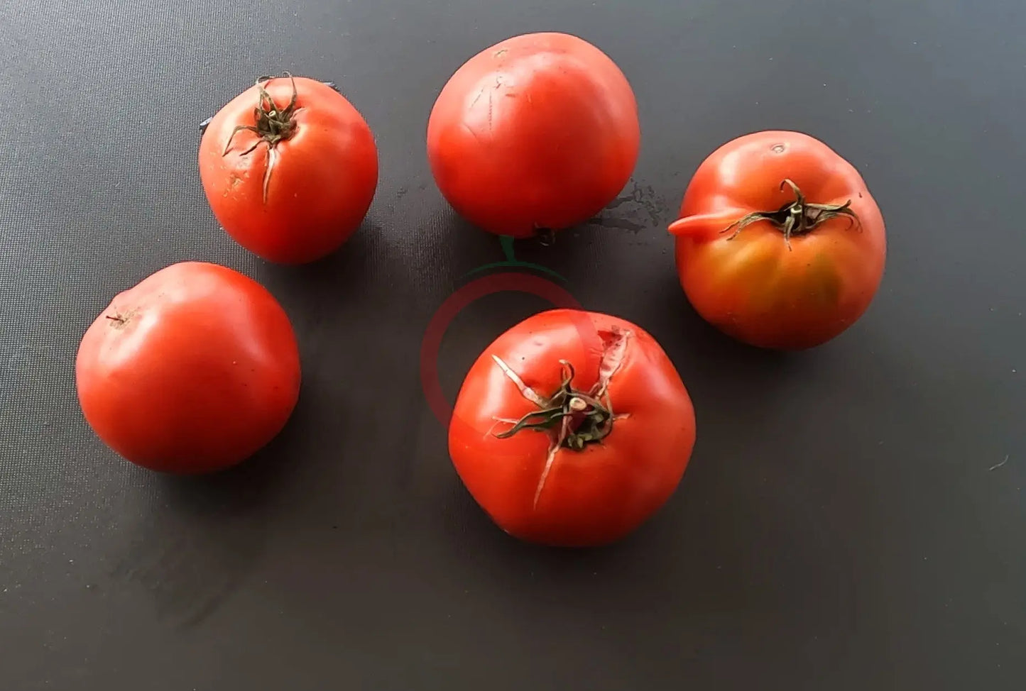 Peron Sprayless DER TOMATENFLÜSTERER