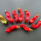 Peter Pepper DER TOMATENFLÜSTERER