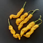 Peter Pepper Yellow DER TOMATENFLÜSTERER