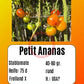 Petit Ananas DER TOMATENFLÜSTERER