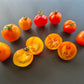 Petit Ananas DER TOMATENFLÜSTERER