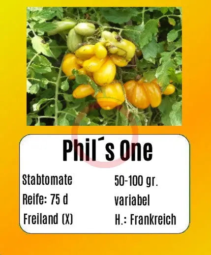 Phil´s One DER TOMATENFLÜSTERER