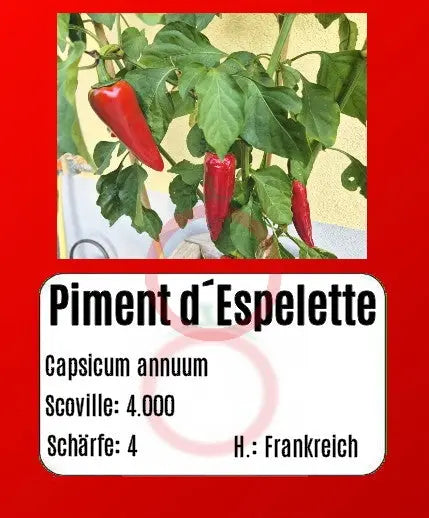 Piment d´Espelette DER TOMATENFLÜSTERER