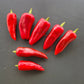 Piment d´Espelette DER TOMATENFLÜSTERER