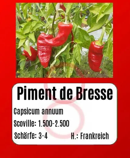 Piment de Bresse DER TOMATENFLÜSTERER