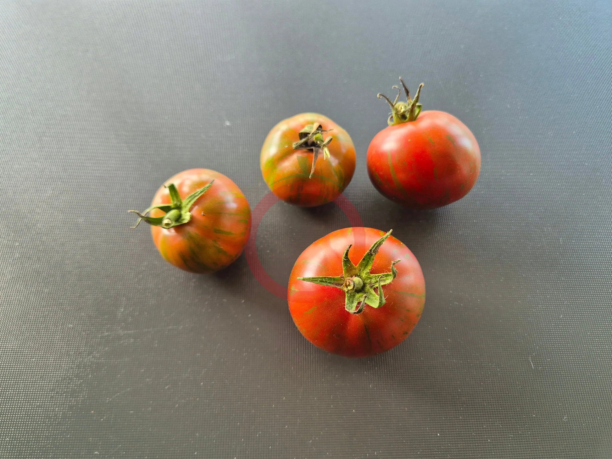 Pink Boar DER TOMATENFLÜSTERER