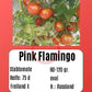 Pink Flamingo DER TOMATENFLÜSTERER
