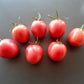 Pink Flamingo DER TOMATENFLÜSTERER