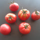 Pink Hippo DER TOMATENFLÜSTERER