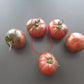 Pink Sapphire DER TOMATENFLÜSTERER