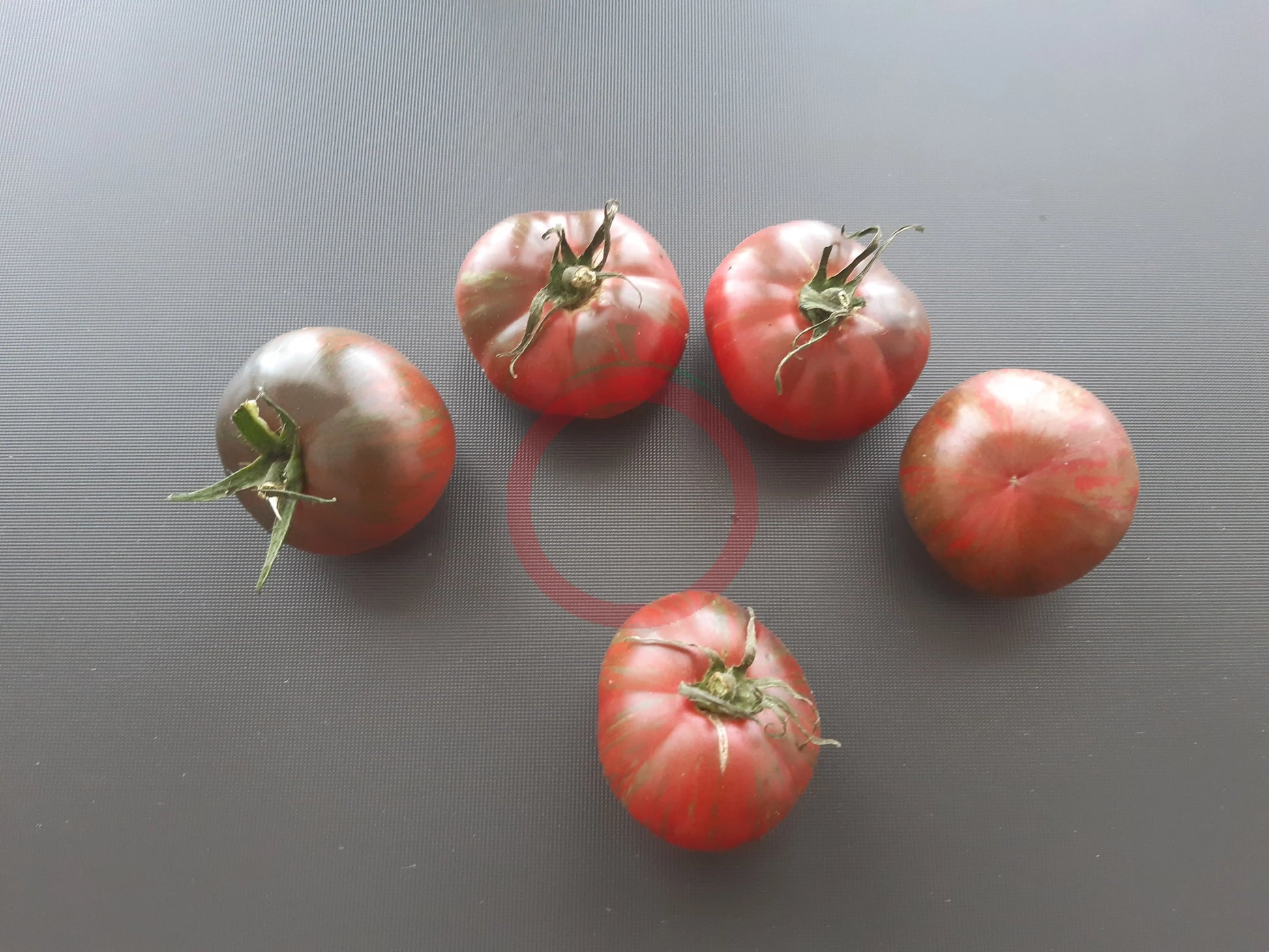 Pink Sapphire DER TOMATENFLÜSTERER