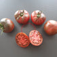 Pink Sapphire DER TOMATENFLÜSTERER
