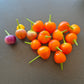 Piriz DER TOMATENFLÜSTERER