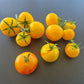 Poma Amoris Minora Lutea DER TOMATENFLÜSTERER