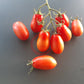 Pomodorini di Sardegna DER TOMATENFLÜSTERER