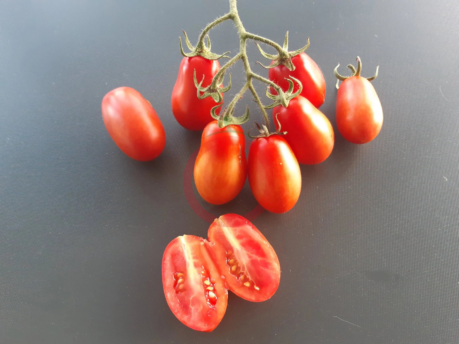 Pomodorini di Sardegna DER TOMATENFLÜSTERER