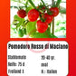 Pomodoro Rosso di Maciano DER TOMATENFLÜSTERER